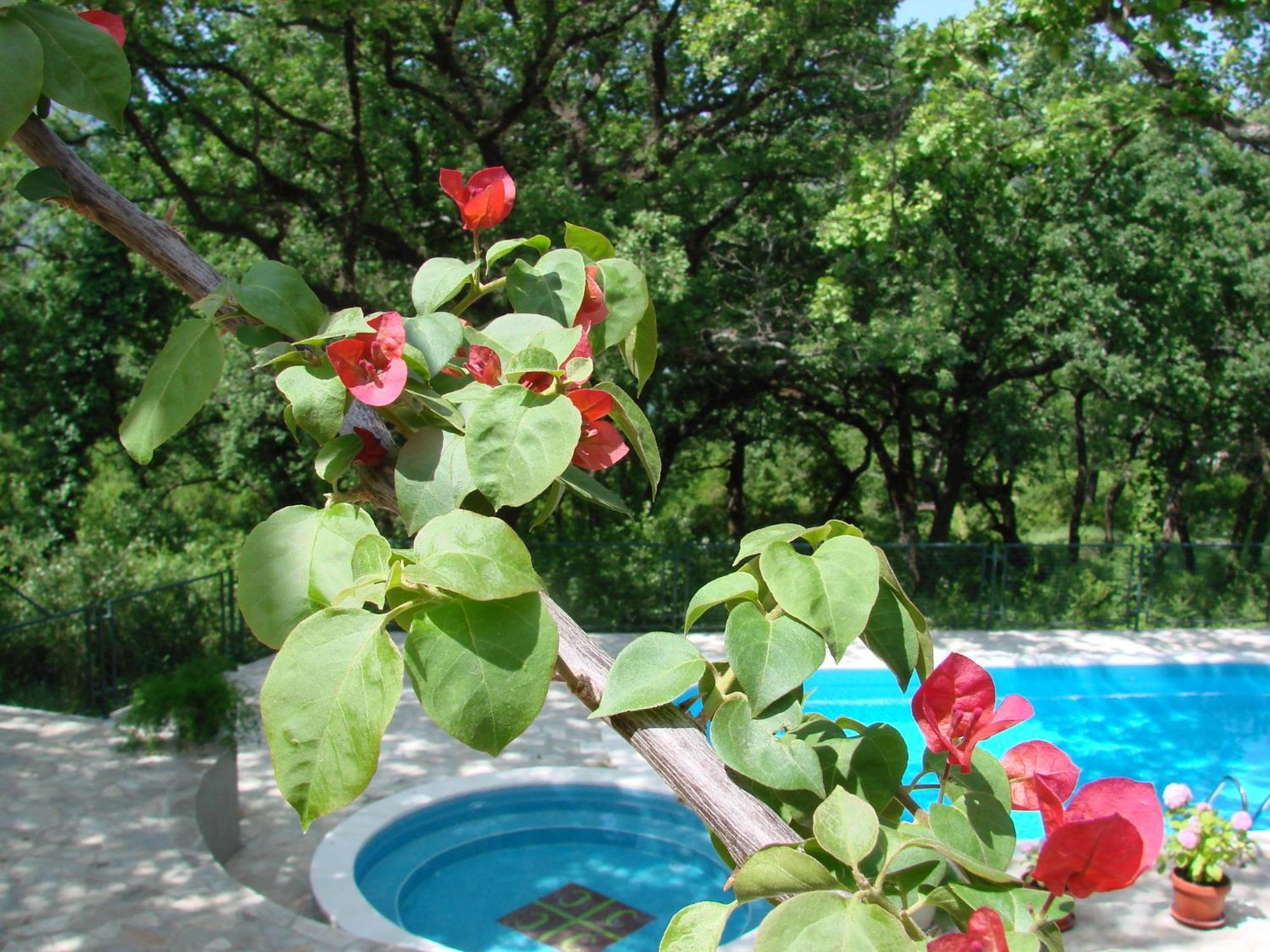 Poolside Apartments Miljan I Ranko Herceg Novi Kültér fotó