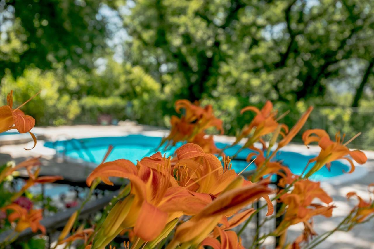 Poolside Apartments Miljan I Ranko Herceg Novi Kültér fotó